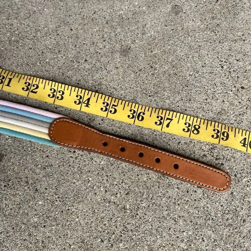 Canterbury Pastel Stripe Canvas Belt Leather & Brass Buckle Size 38